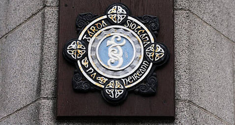 Man (20s) charged in relation to alleged serious assault of girl in Dublin