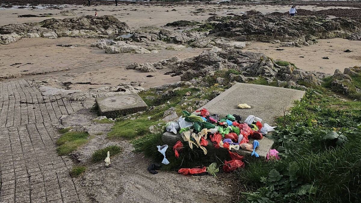 Large amount of dog waste being dumped at entrance to popular local beach
