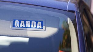 <p>Seven members of the Gardaí were injured in the incidents. </p>