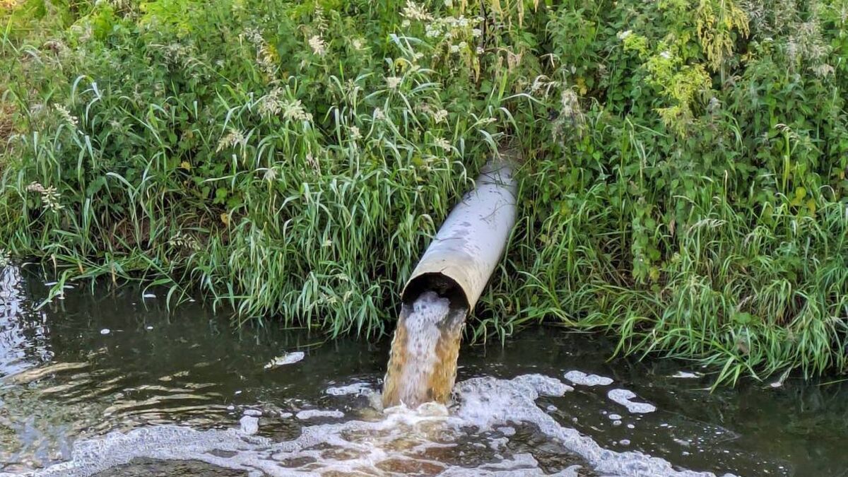 Sewerage issues plaguing Waterford residents