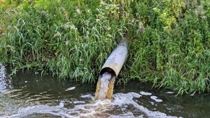 <p>The sewerage issue is affecting parts of the city and county. </p>