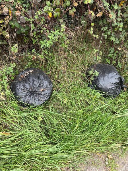 Households are asked to dispose of their rubbish responsibly.Picture: Cllr Donnchadh Mulcahy Households are asked to dispose of their rubbish responsibly.Picture: Cllr Donnchadh Mulcahy