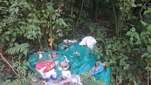 <p>Illegal dumping in a ditch in West Waterford. Picture: Cllr Donnchadh Mulcahy</p>