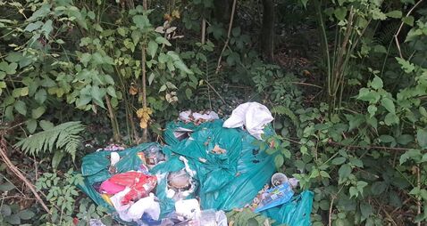 Illegal dumping and overflowing bring banks are becoming a crisis in West Waterford 