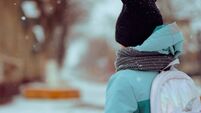 Waterford council to offer schools de-icing salt this winter