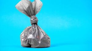 Thirty dog bags dumped on Waterford beach as council calls bin removal plan a success Thirty dog bags dumped on Waterford beach as council calls bin removal plan a success