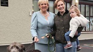 Presidential election highlights: A tenant dispute, barristers and footballs