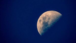 South East Astronomy to host Apollo 11 talk South East Astronomy to host Apollo 11 talk