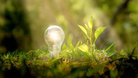 Half a million euro in climate action funding awarded to Waterford
