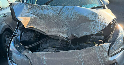 Motorist backs call for signage on Meath road after collision with deer