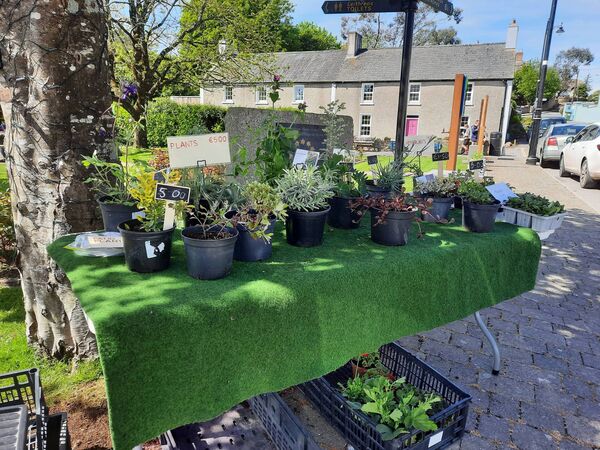 You can preorder any product for sale at the market by calling Margaret on 087 6337215 You can preorder any product for sale at the market by calling Margaret on 087 6337215