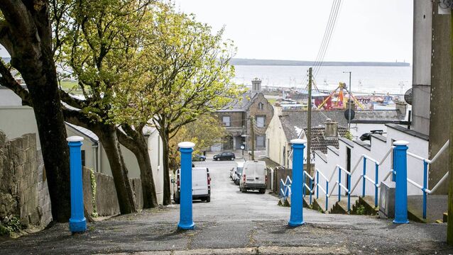 Local Notes: GAA club AGM, ciorcal cómhra, new arrival joy, community market and sympathies for the deceased