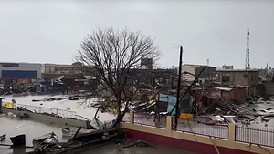 Dublin woman’s plea to help hurricane-hit Jamaica as she warns of ‘catastrophe’ Dublin woman’s plea to help hurricane-hit Jamaica as she warns of ‘catastrophe’