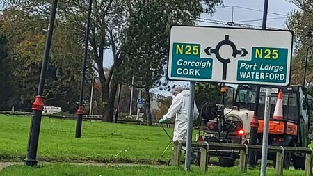 Concerns raised over alleged pesticide spraying in Waterford public park 