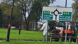 Concerns raised over alleged pesticide spraying in Waterford public park 