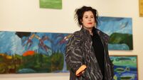Waterford based artist shortlisted for major national award