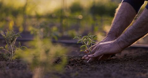 Waterford resident's association appeals for spring volunteers 