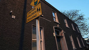 Gardaí investigating after dog killed in suspected firework attack