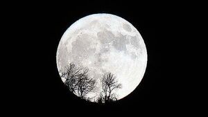 Super moon visible across Ireland on Wednesday