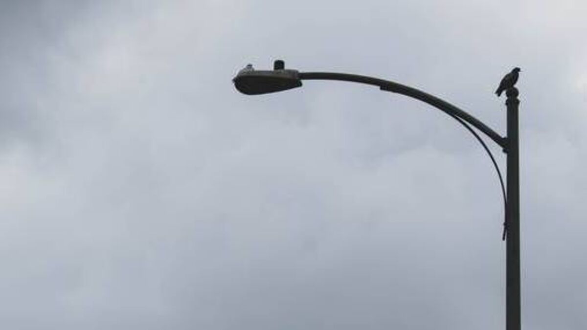 Waterford councillor says leaving residents 'in complete darkness' is unacceptable