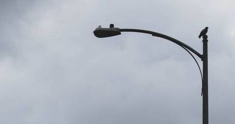 Waterford councillor says leaving residents 'in complete darkness' is unacceptable