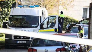 Gardaí conclude that roaming ‘lion’ was actually a dog Gardaí conclude that roaming ‘lion’ was actually a dog