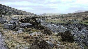 Inland Fisheries Ireland granted leave to challenge District Court over Co Kerry spawn case