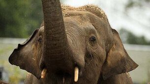 Sisters awarded €40k due to neck pain nearly a decade after collision Sisters awarded €40k due to neck pain nearly a decade after collision