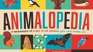 Four Waterford Writers Nominated for An Post Awards 
