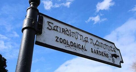 Dublin Zoo ‘vehemently disputes’ staff harassment and animal welfare claims