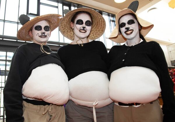 Kung Fu Pandas. Photo: John Power