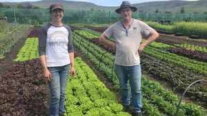 Clotilde Kiely wants you to care about vegetables