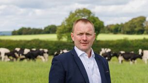 <p>Denis Drennan on his farm at Dunbell near Kilkenny</p> <p>Denis Drennan on his farm at Dunbell near Kilkenny</p>