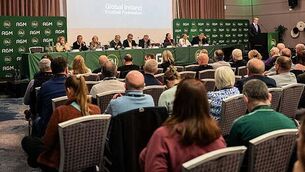 Explained: How to send Christmas gifts to the US before Thursday deadline Explained: How to send Christmas gifts to the US before Thursday deadline