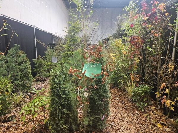 The aim of the event was to empower young people to reimagine their relationship with nature. Pic: An Garda Síochána Facebook The aim of the event was to empower young people to reimagine their relationship with nature. Pic: An Garda Síochána Facebook