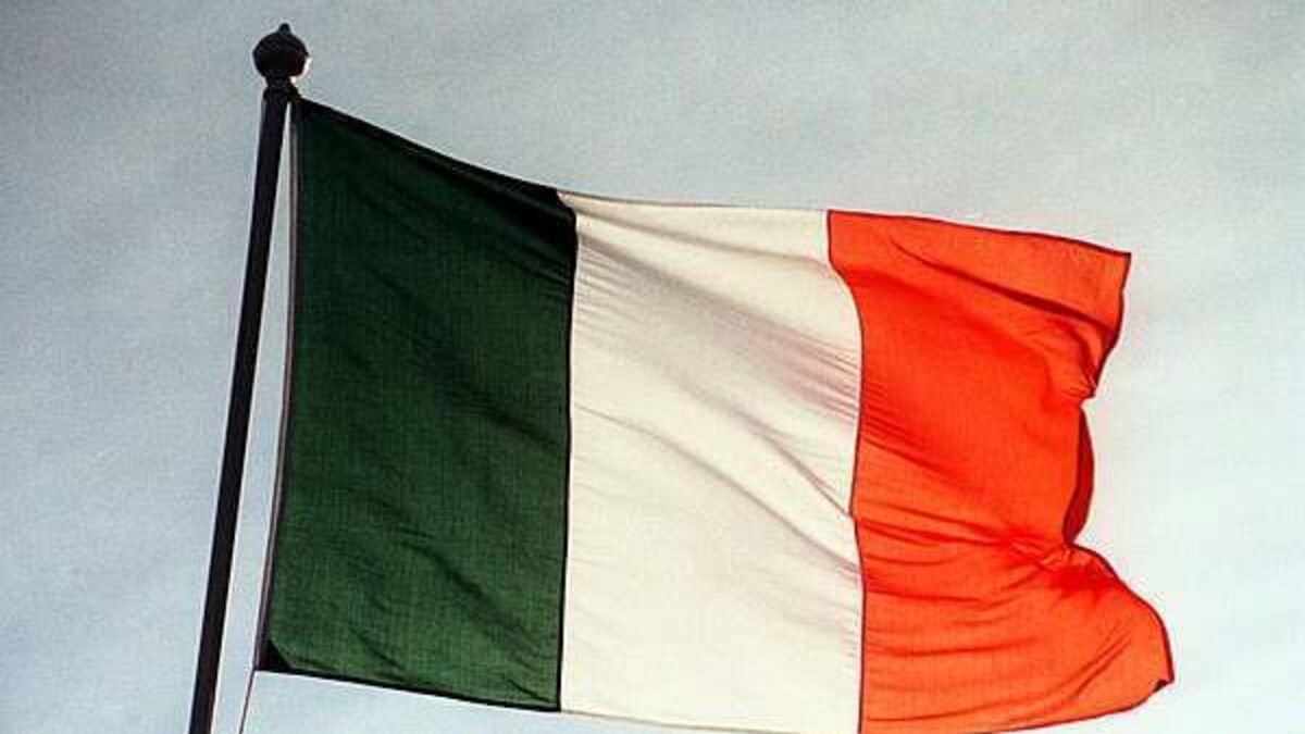 Government bodies to spend €10.5m hiring external contractors to translate documents into Irish