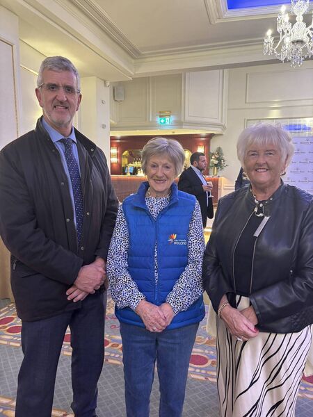 Pictured at the recent Business After Hours event in the Granville Hotel, Waterford.