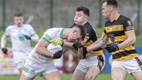 Shamrocks no match for Cork champions