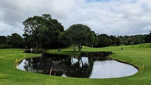 Fiosrú investigating fatal Cork road incident that occurred 'during a Garda interaction'