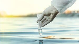 This is why Waterford council do not test the water when a whale dies on a beach 