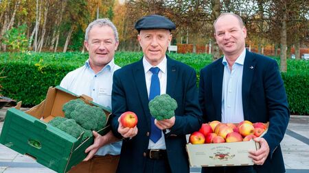 Farming: Horticulture schemes launched at first Horticulture Industry Forum growers meeting