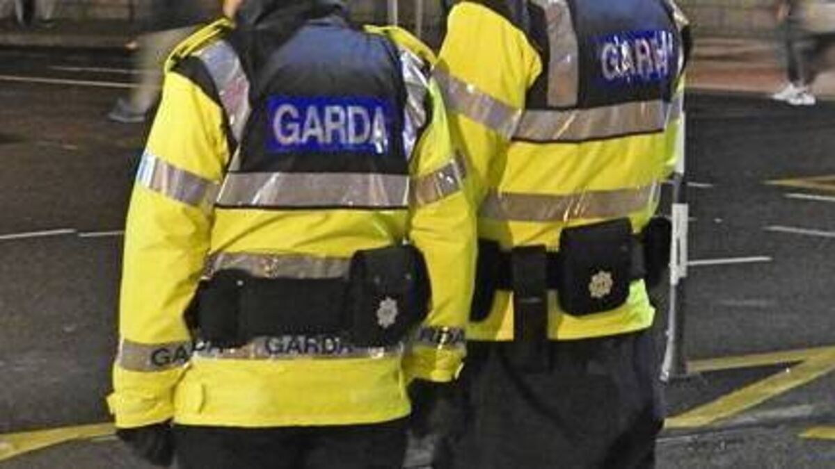 Minister announces new gardaí to be assigned to Waterford 