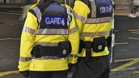 Minister announces new gardaí to be assigned to Waterford 