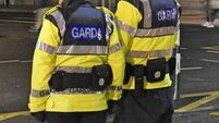Minister announces new gardaí to be assigned to Waterford 