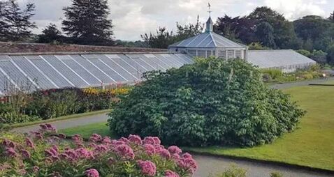 Mount Congreve asks Council for more money