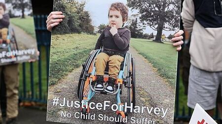Families will be asked for input to get child spinal inquiry ‘right’ – Tánaiste