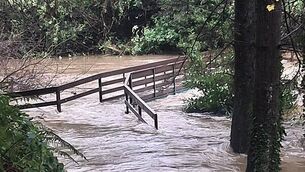 Teacher who went on 'premeditated' harassment campaign using 'racist slurs' loses appeal Teacher who went on 'premeditated' harassment campaign using 'racist slurs' loses appeal