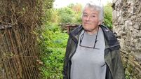 Waterford councillors welcome the purchase of the late Dervla Murphy's home in Lismore