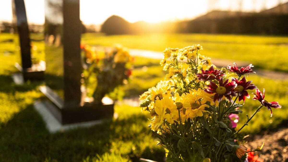 'There is nothing as degrading for families,' Dogs allowed to poo on graves 
