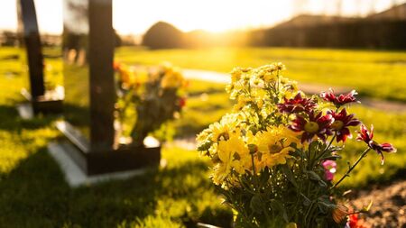 'There is nothing as degrading for families,' Dogs allowed to poo on graves 